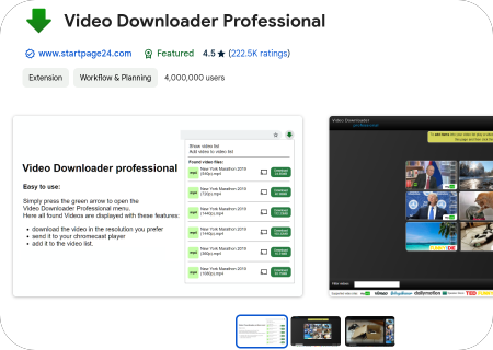 Video Downloader Professional